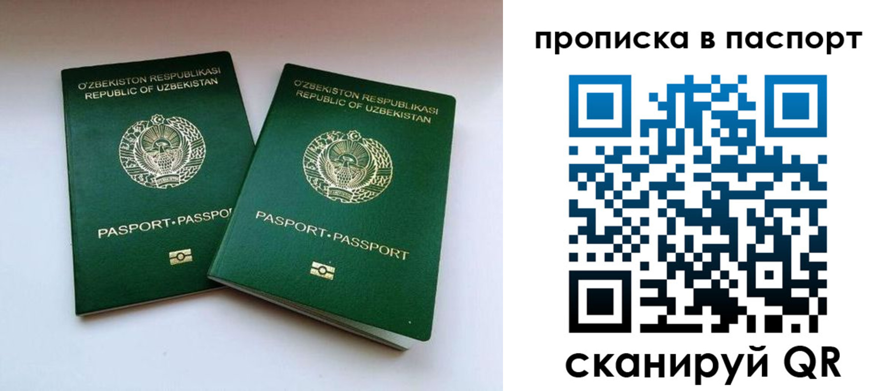 временная регистрация в Светлогорске